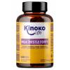 MILK THISTLE FORTE – 180 CAPSULAS – CARDO MARIANO CON ALCACHOFA, DIENTE DE LEON Y COLINA